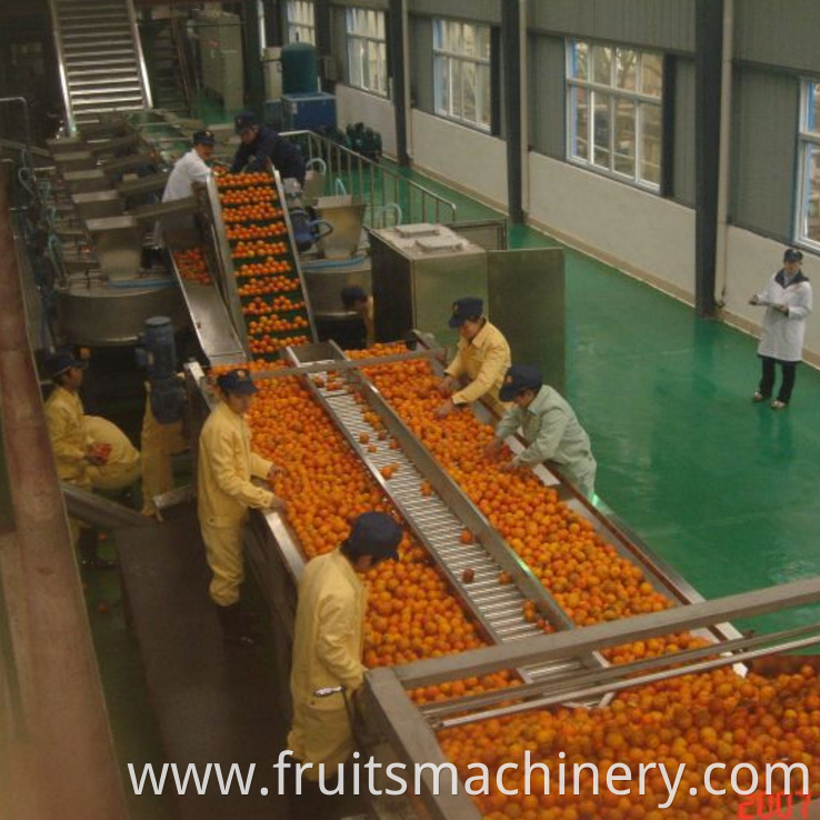 Automatic fruit juice processing plant 